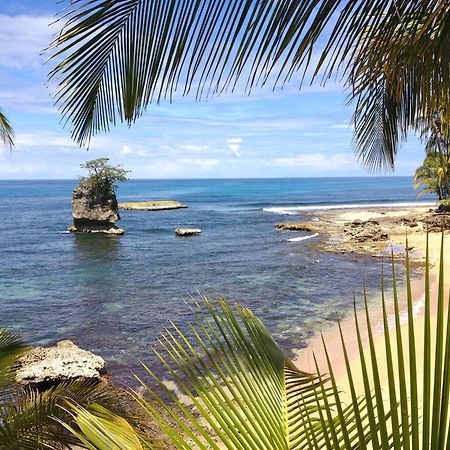菲西斯加勒比住宿加早餐酒店 Puerto Viejo de Talamanca 外观 照片