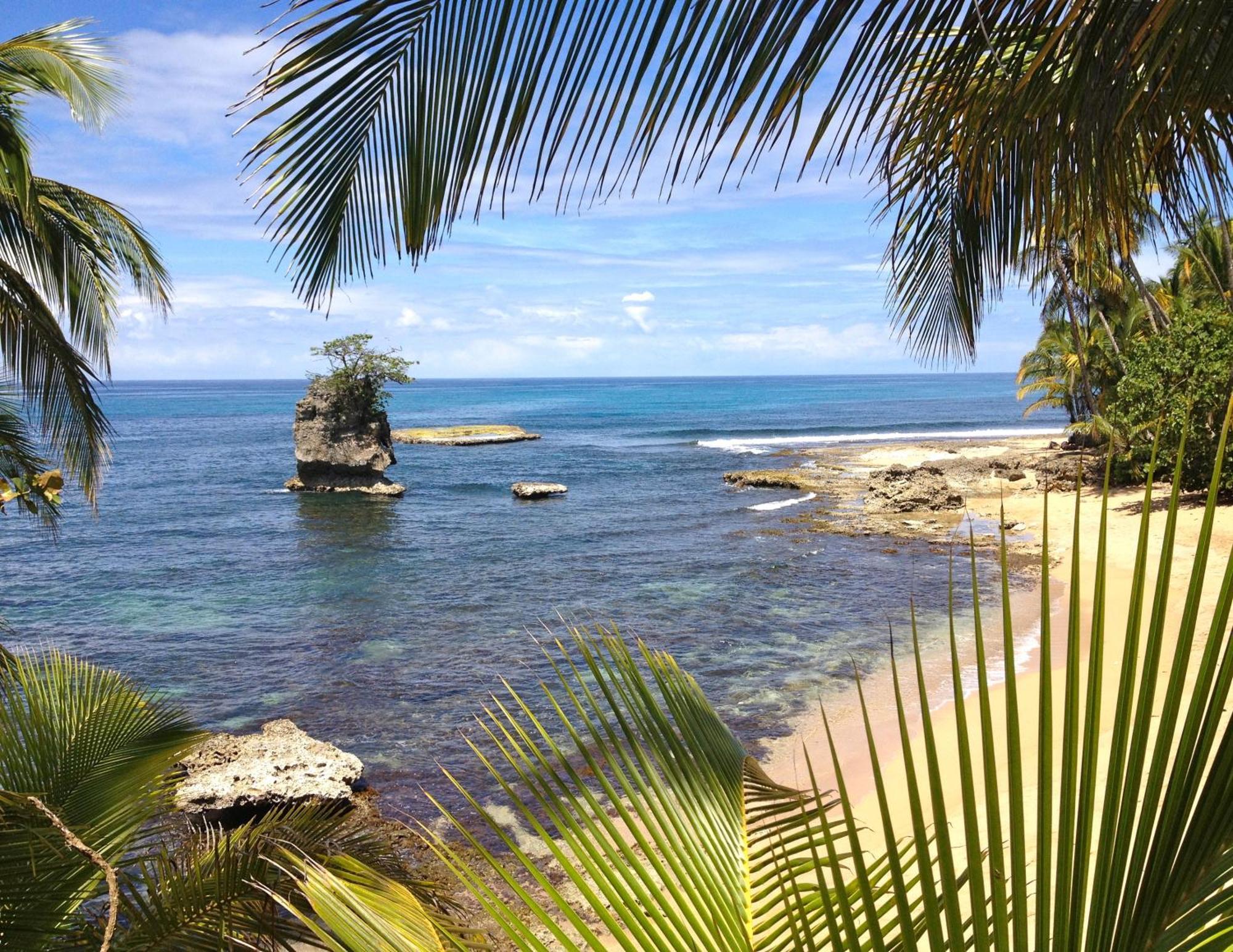 菲西斯加勒比住宿加早餐酒店 Puerto Viejo de Talamanca 外观 照片