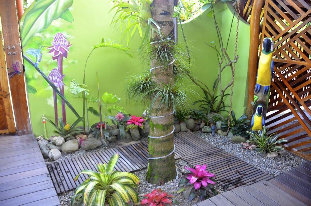 菲西斯加勒比住宿加早餐酒店 Puerto Viejo de Talamanca 外观 照片