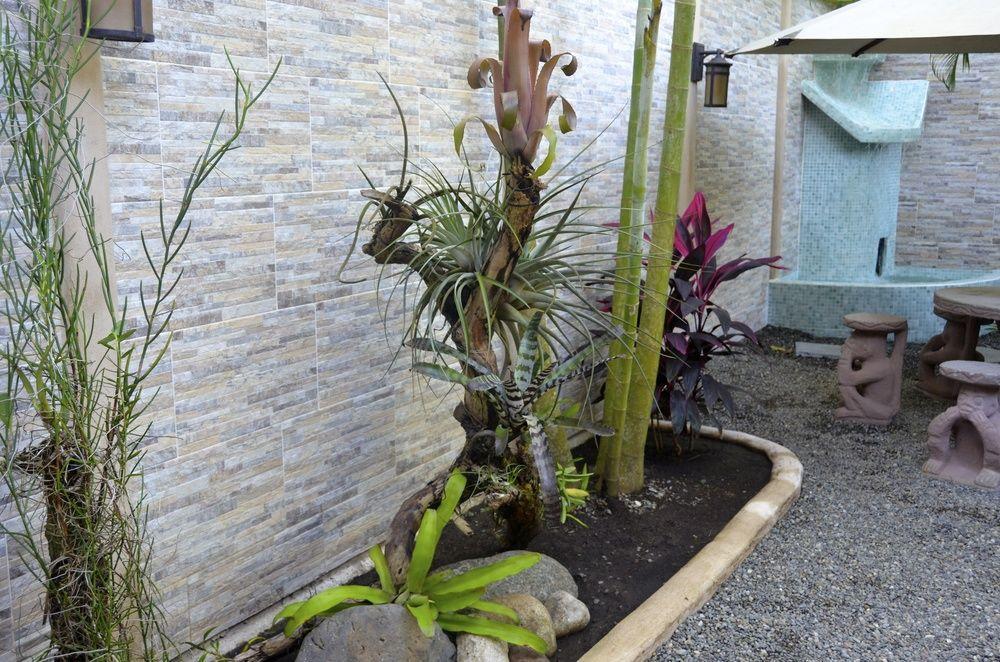 菲西斯加勒比住宿加早餐酒店 Puerto Viejo de Talamanca 外观 照片